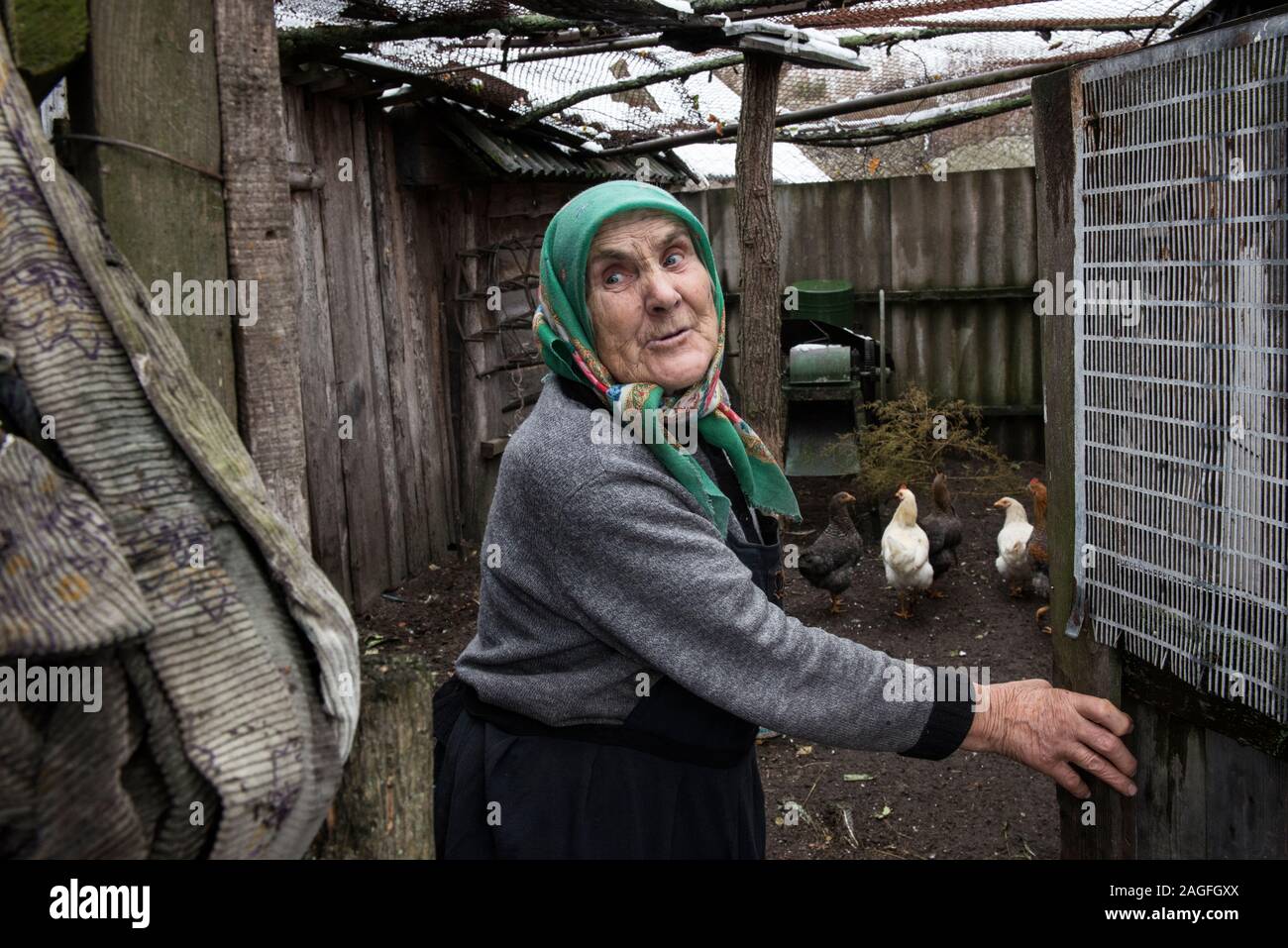 Hanna Zavorotnya entering the chicken coop at her farm inside the Chernobyl Exclusion Zone to feed the chickens. She is one of the babushkas who refused to leave the Zone. In the summer after the evacuation (following the Chernobyl disaster 1986) she and her family turned back to their farm. Zavorotnya and the other women of the village lived through Stalin’s Holodomor – the genocide-by-famine of the 1930s that wiped out millions of Ukrainians – and then the Nazis in the 1940s. After the Chernobyl accident many were simply unwilling to flee an enemy that was invisible. Kupovate, Ukraine Stock Photo