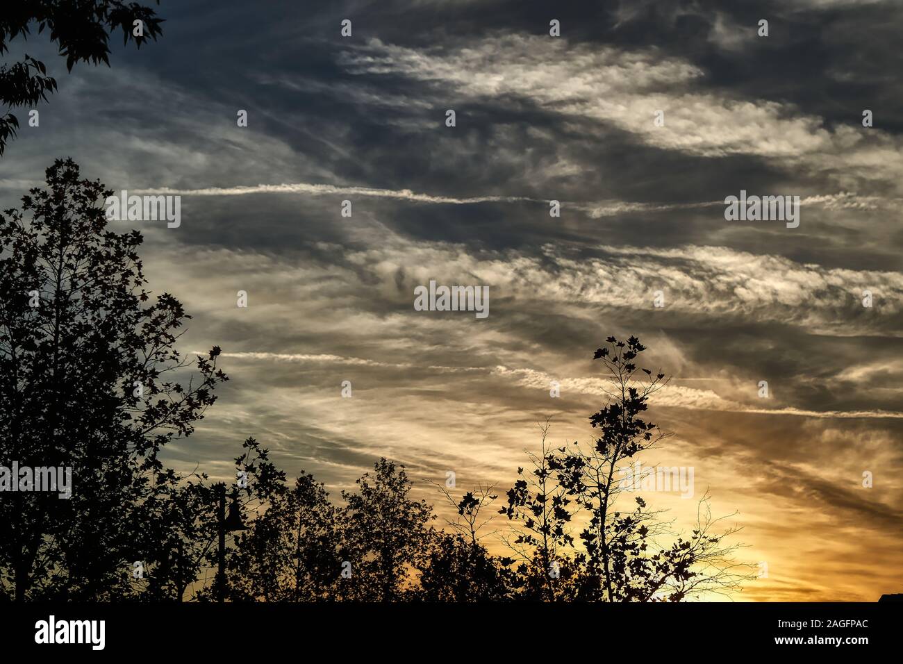 Silhouettes of trees under the dark cloudy sky during the sunset Stock ...