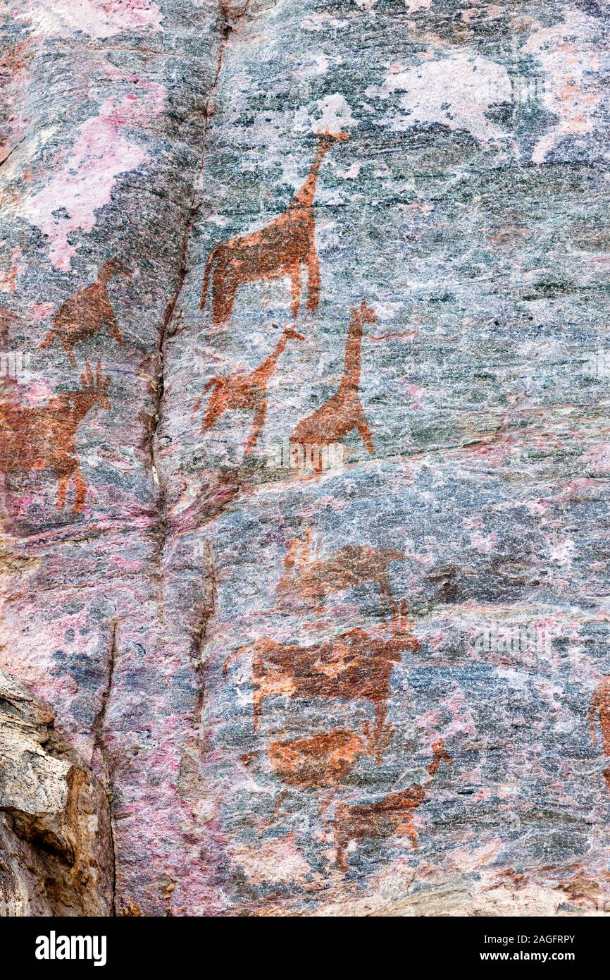 Rock Paintings Of Animal Motifs At Tsodilo Rock Art Sites Isolated Hills In Kalahari Desert Botswana Africa Stock Photo Alamy