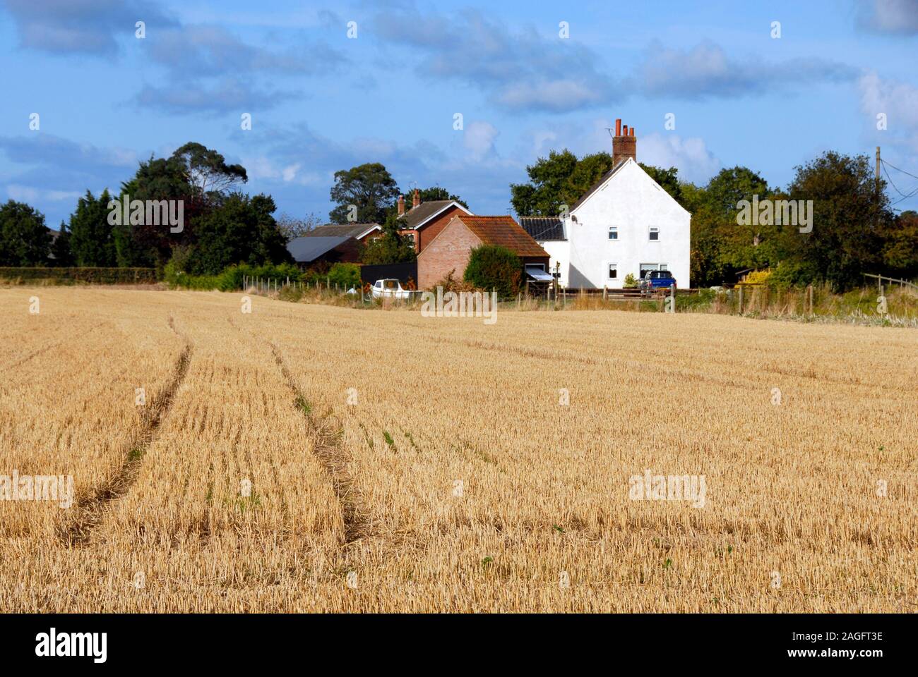 Farm in Norfolk after harvest, under the wide open skies so typical of