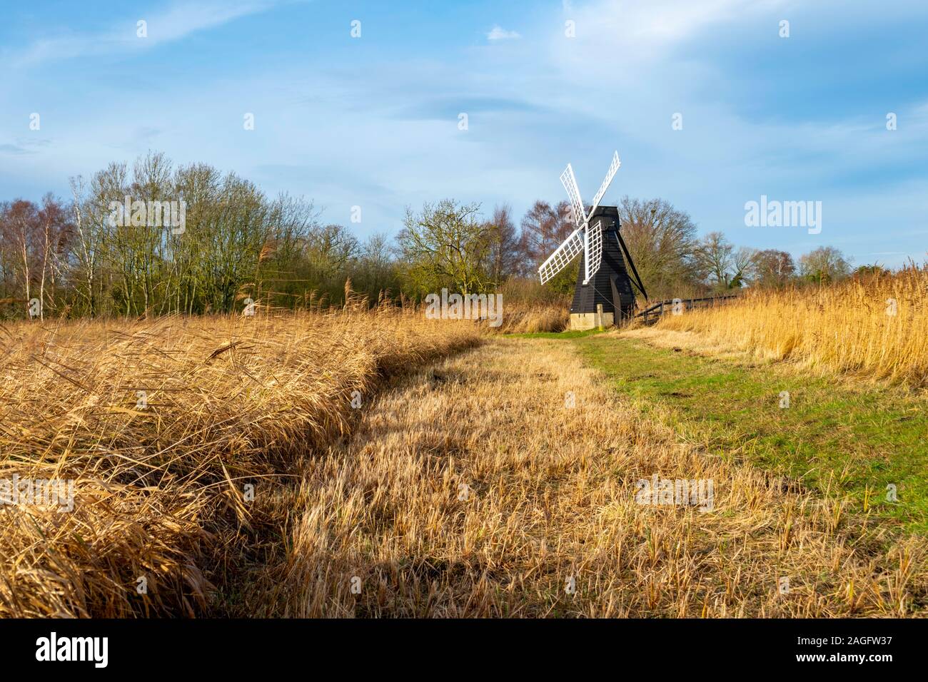 Old Wind Pump and WIcken fen with tall wetland grasses eother side on a sunny day. Stock Photo