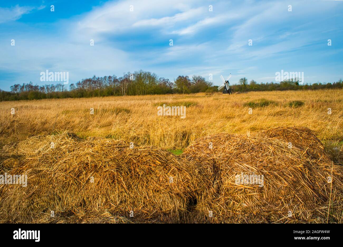Wicken Fen wind pump in the distance with a field of dried wetland