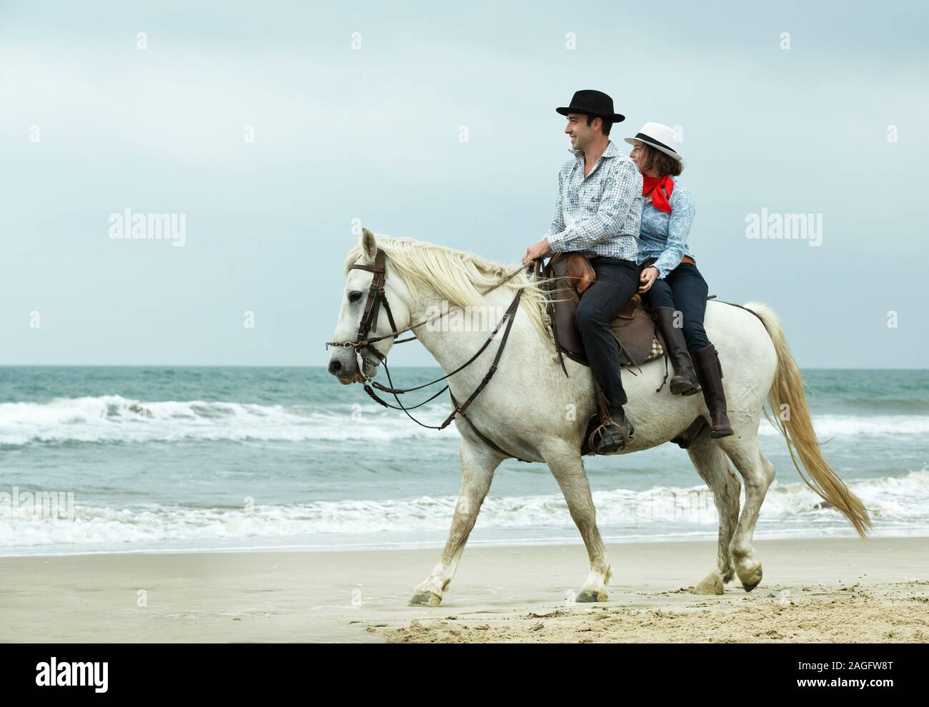 Couple riding white horses on beach hires stock photography and images