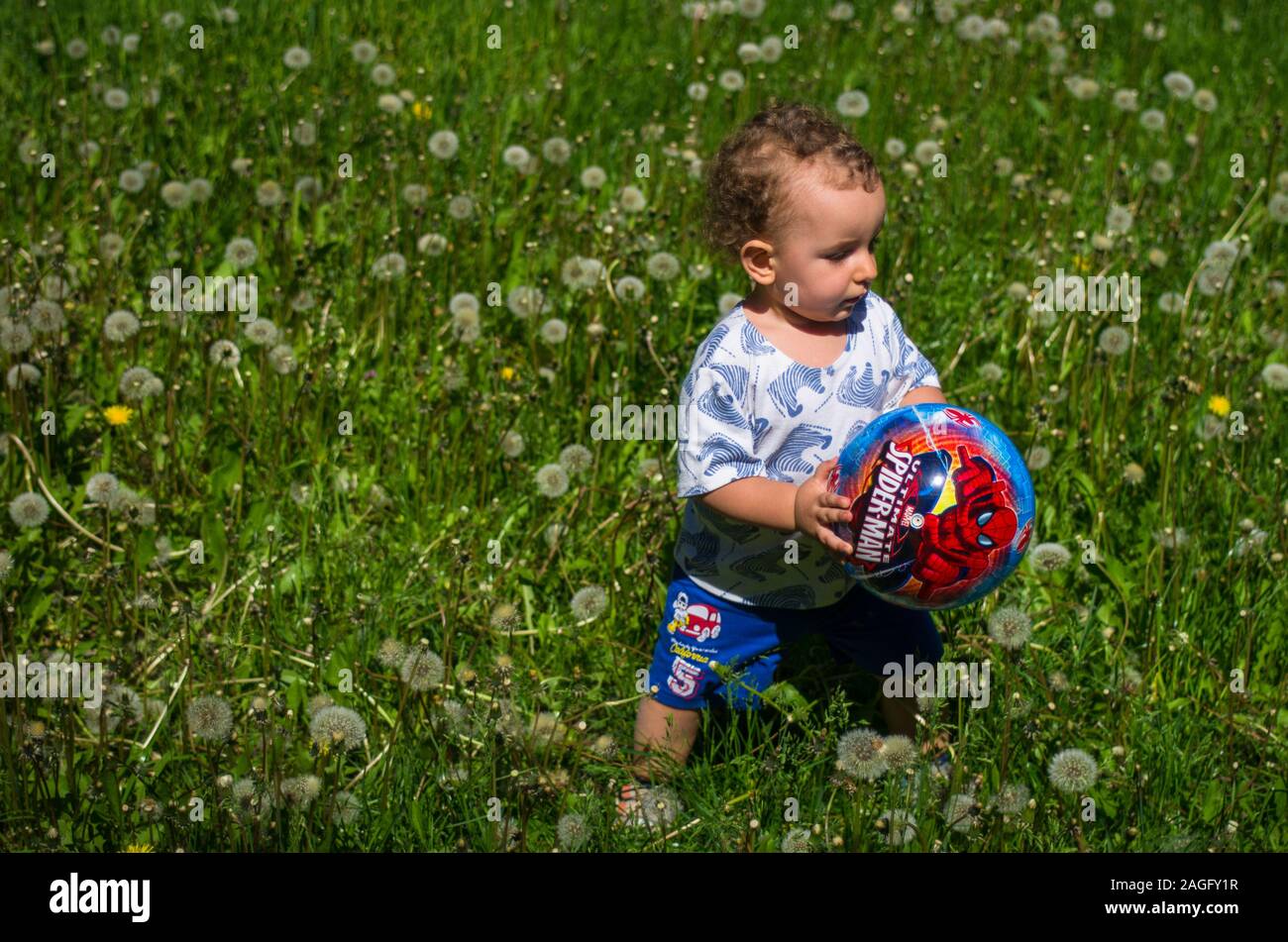 Child playing ball among dandelions in the meadow Stock Photo