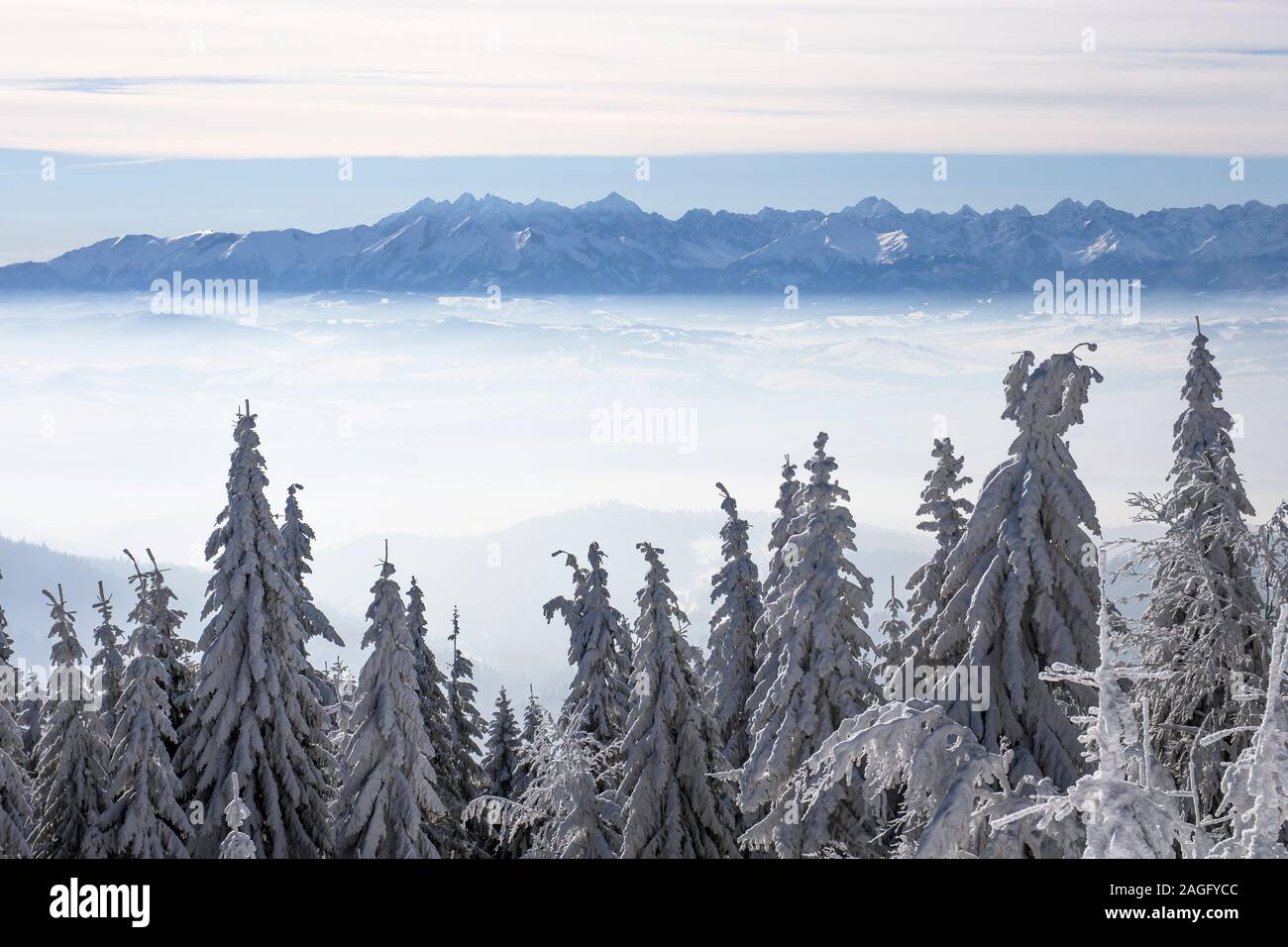 Winter landscape, view from Tutbacz peak in the Gorce Mountains to the Tatra Mountains Stock Photo