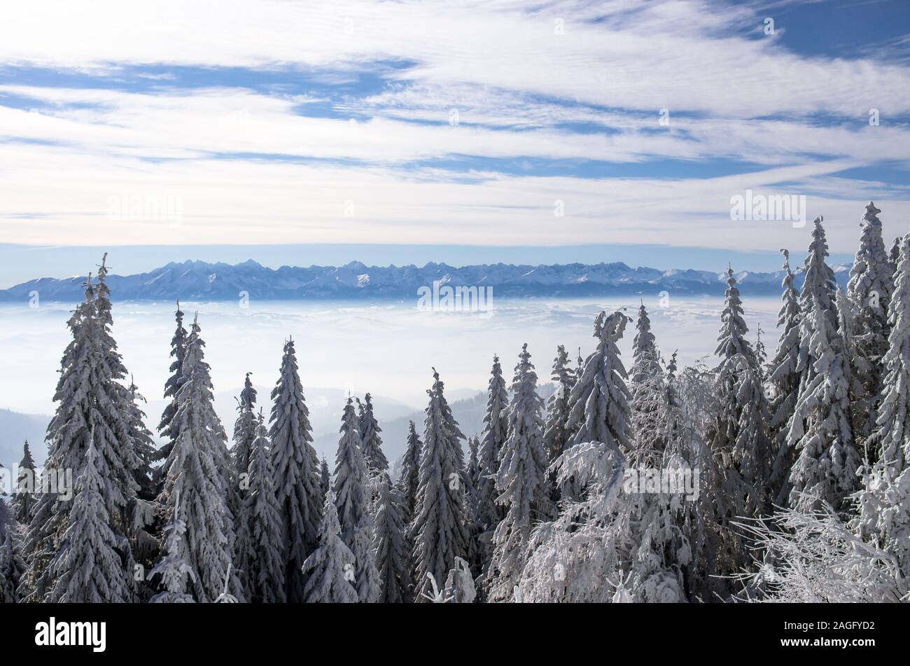 Winter landscape, view from Tutbacz peak in the Gorce Mountains to the Tatra Mountains Stock Photo