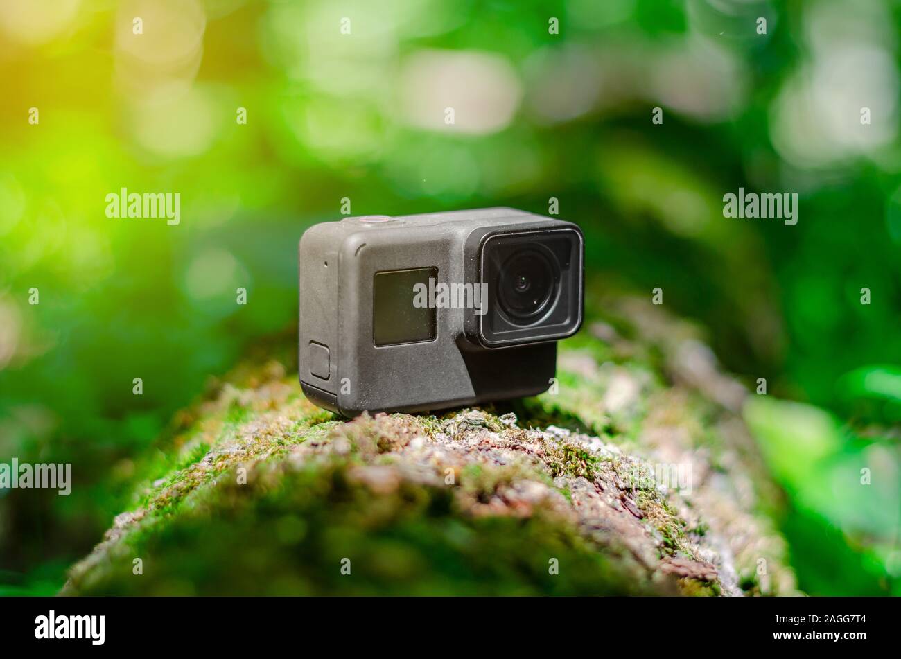 Action camera on a log in the forest. Stock Photo