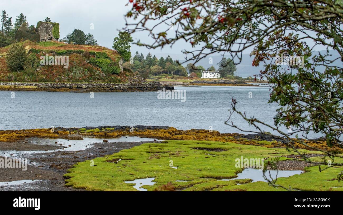 View of Aros Castle at low tide on the Isle of Mull, Scotland. Stock Photo