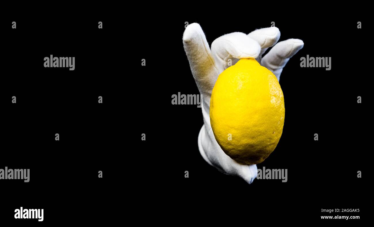 Seasonal fruits. Ripe yellow lemon on black background. Hand dressed in white glove. Stock Photo
