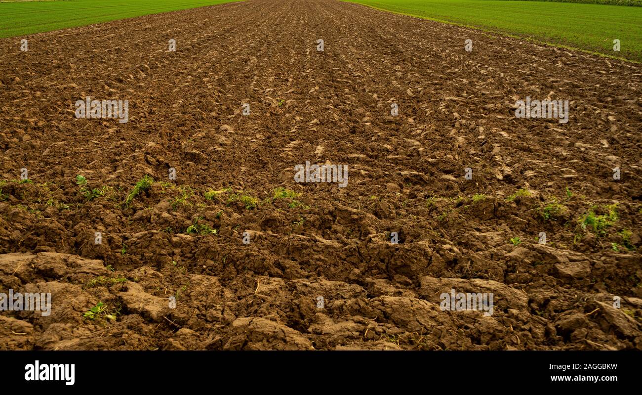 Farmingland in europe, Heidelberg, Germany Stock Photo Alamy