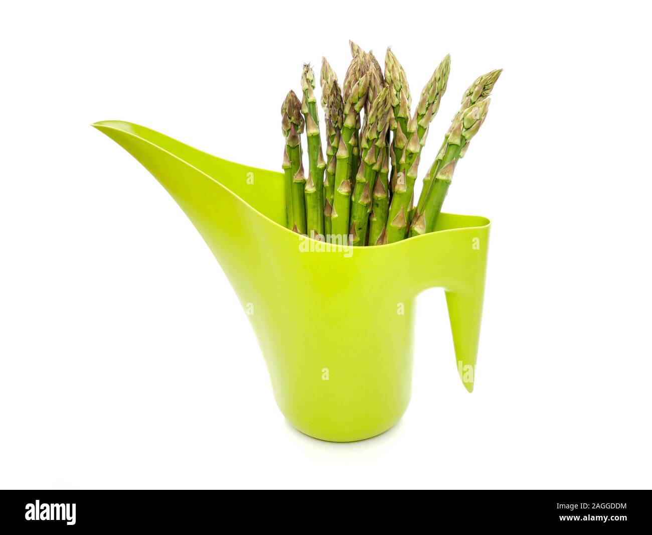 Light beer in a small mug on a wooden trunk in an arrangement with fresh hops. Stock Photo