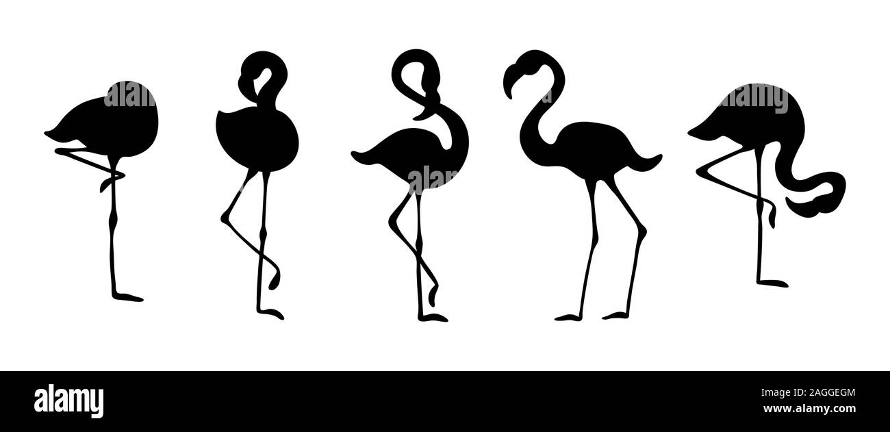 Flamingo silhouettes set. Black objects on white background. Flat vector illustration. Stock Vector