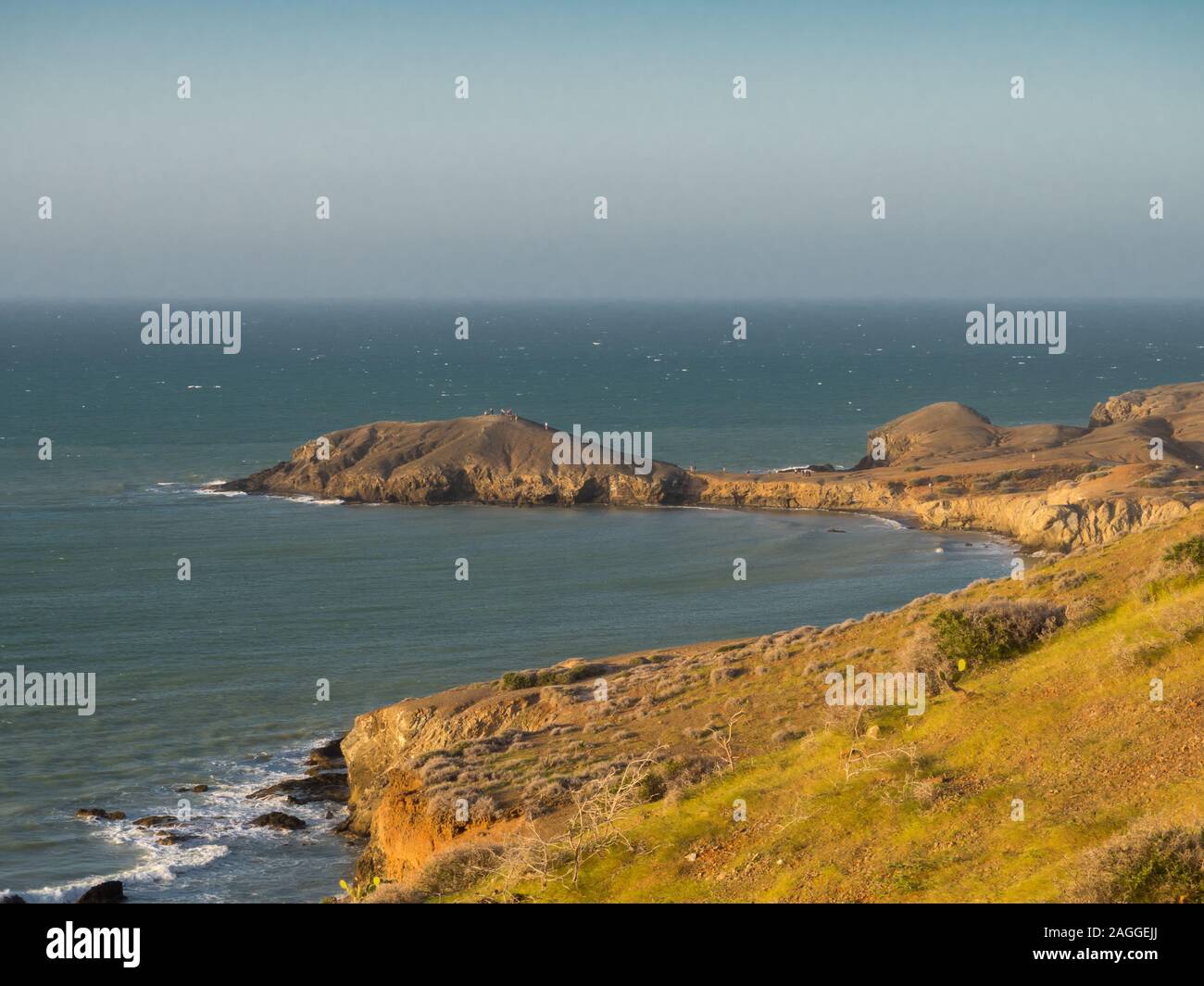 Piedra de tortuga hi-res stock photography and images - Alamy
