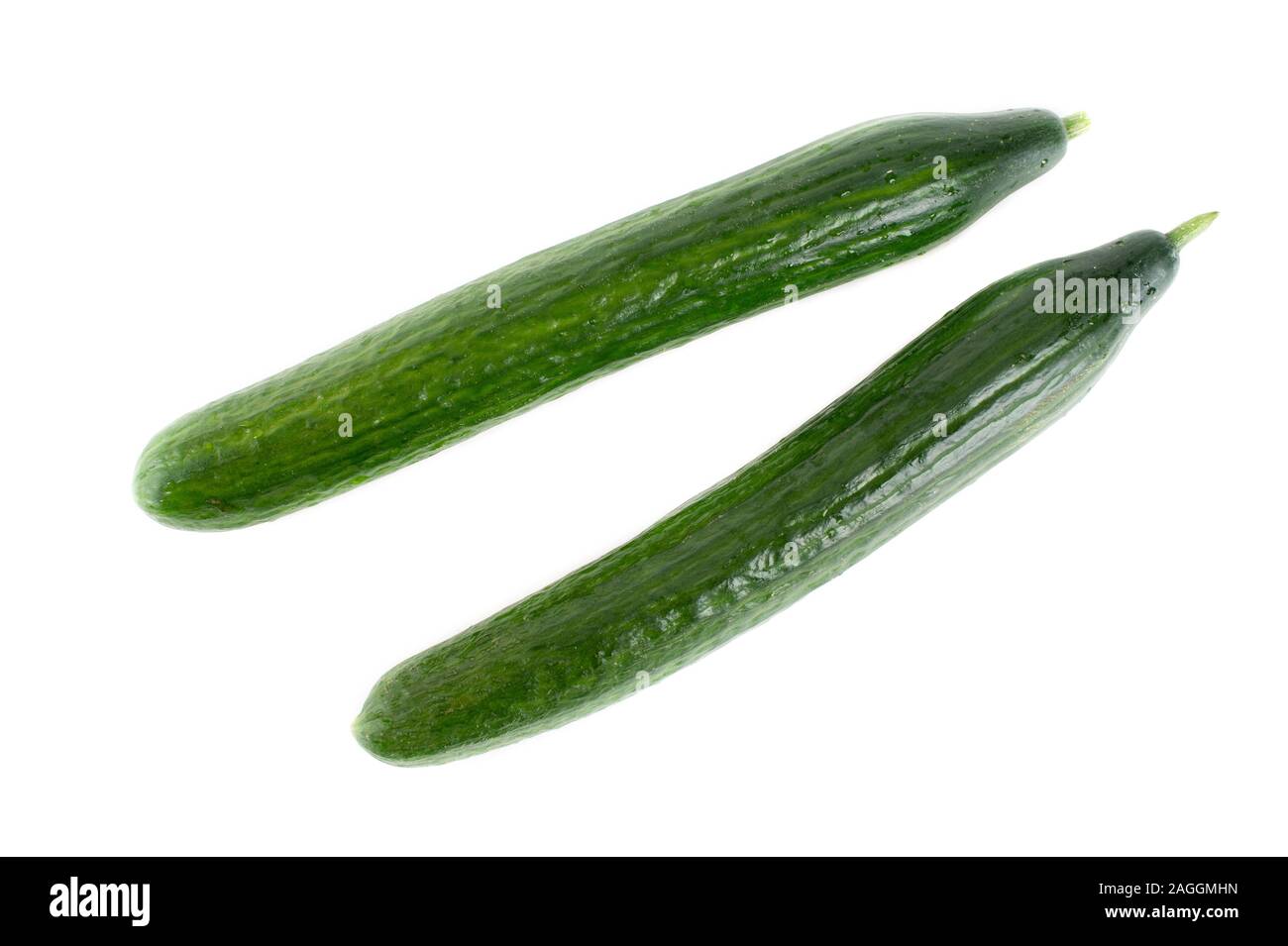 Two organic cucumbers on white background Stock Photo