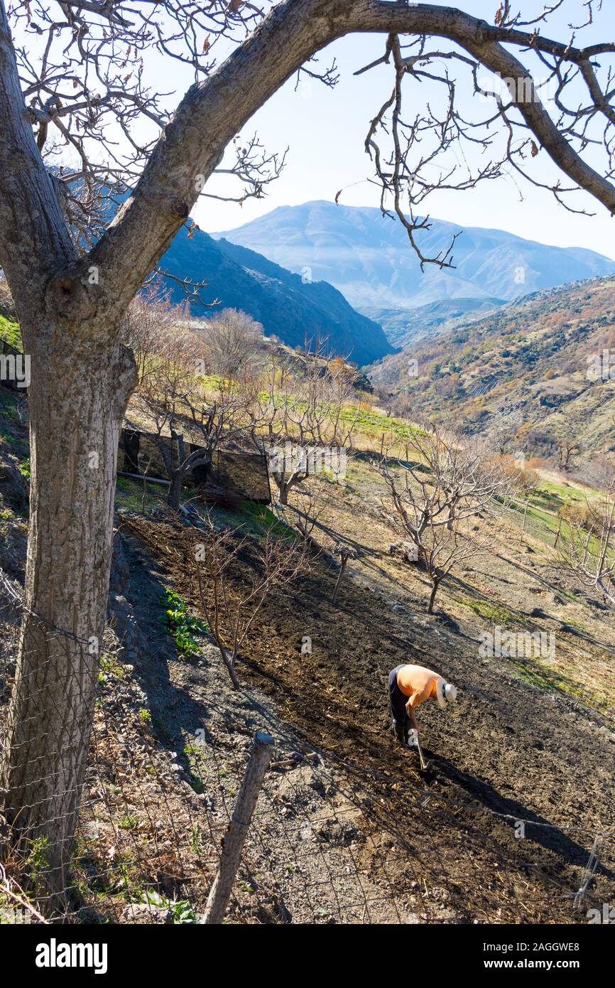 Soil environment farms hires stock photography and images Alamy