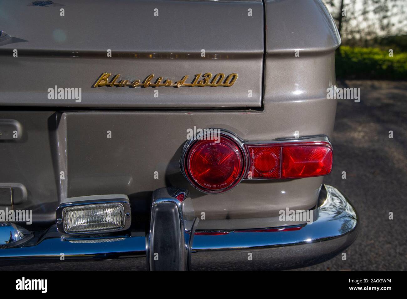 Datsun 410 Bluebird 1966 Beige F43-134 Datsun 410 Bluebird 1966 Beige F43-134