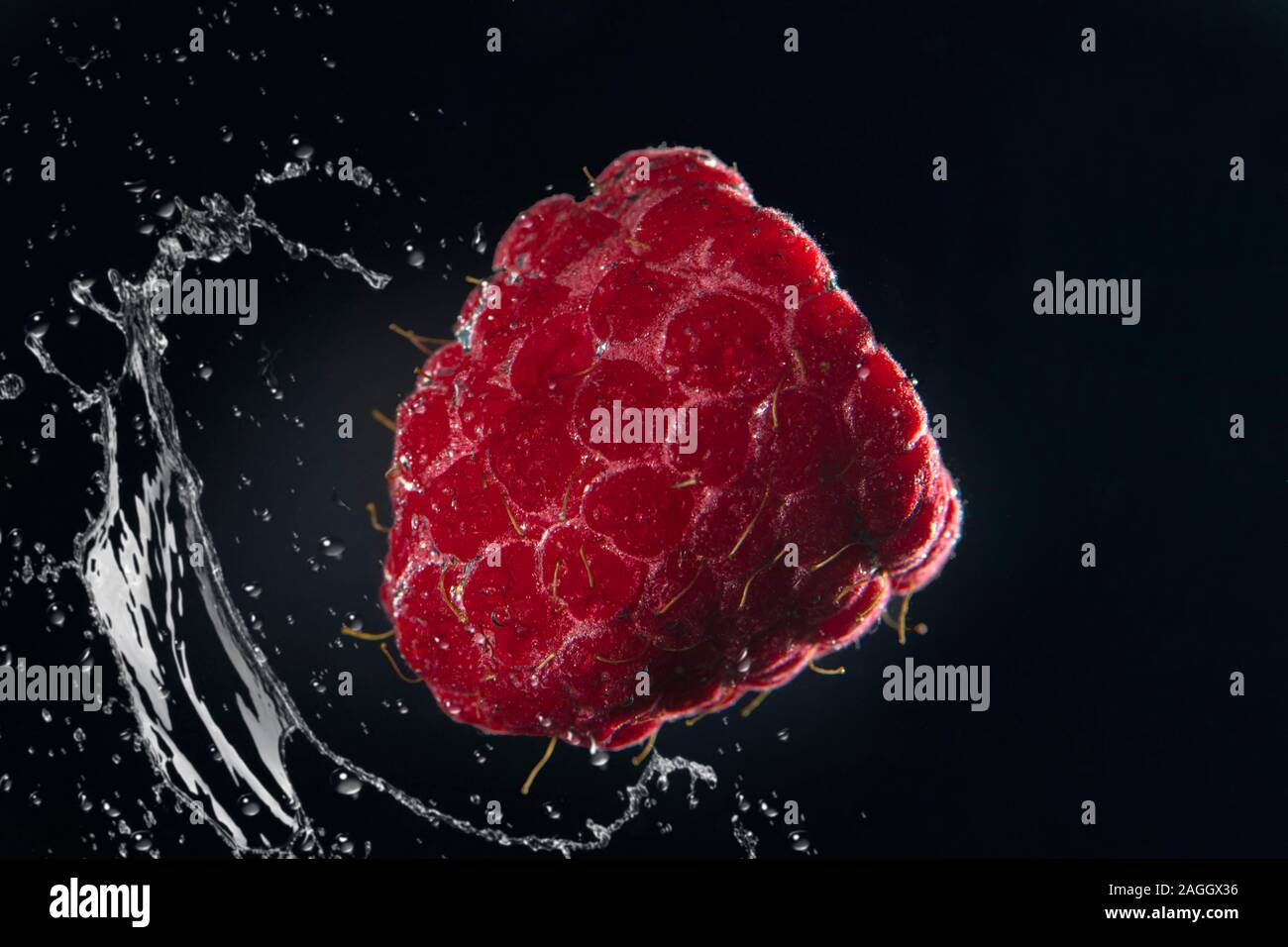 Raspberries in water with a splash of water on a black background close-up Stock Photo