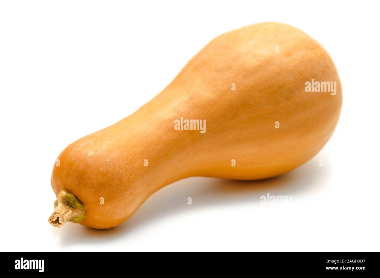 pumpkin isolated on a white background Stock Photo - Alamy