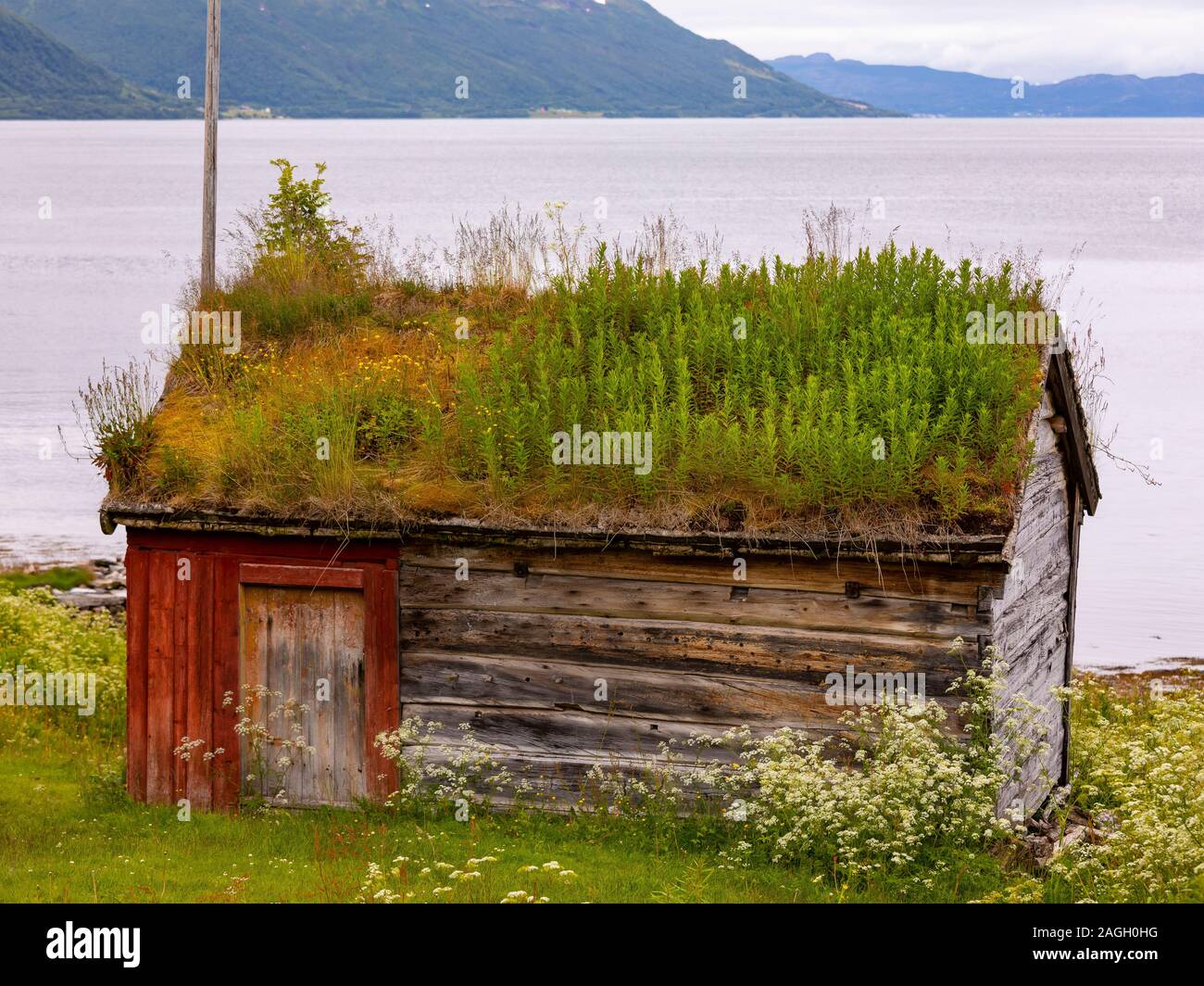 STRAUMSBUKTA, KVALØYA ISLAND, TROMS COUNTY, NORWAY - Historic museum village of Straumen Gård with turf roof buildings. Sod roof is traditional. Stock Photo