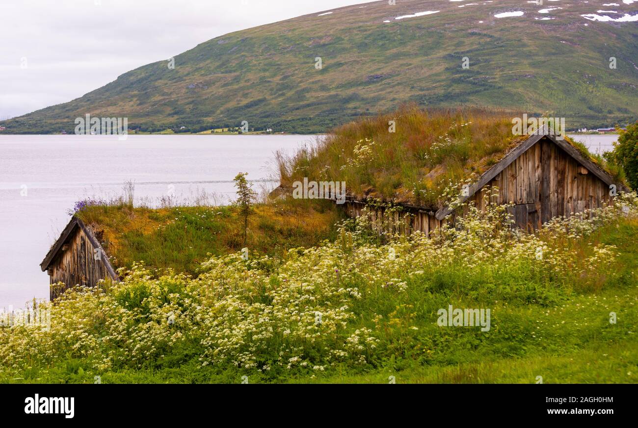 STRAUMSBUKTA, KVALØYA ISLAND, TROMS COUNTY, NORWAY - Historic museum village of Straumen Gård with turf roof buildings. Sod roof is traditional. Stock Photo
