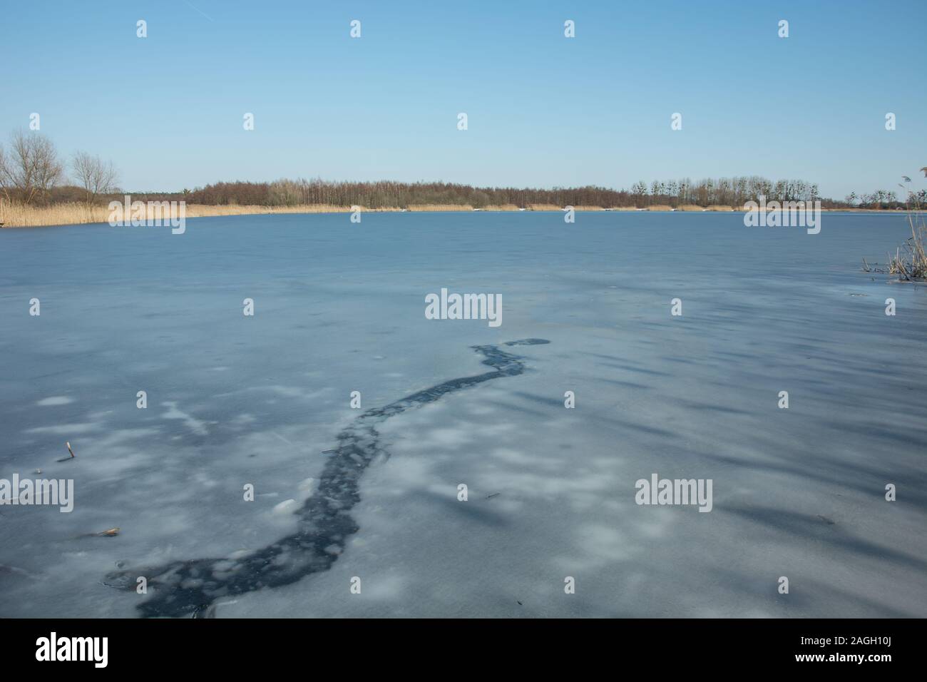 Ice and frozen lake. Forest on the horizon and blue sky - view in winter day Stock Photo