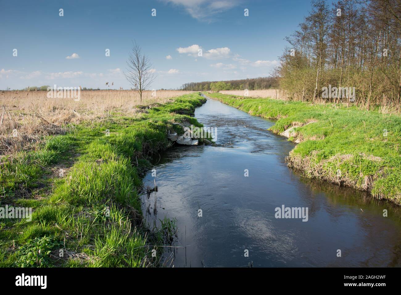 River flowing in eastern Poland - view on a sunny day Stock Photo