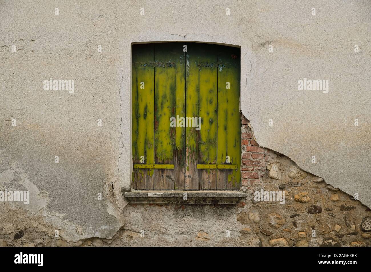 Green old window Stock Photo