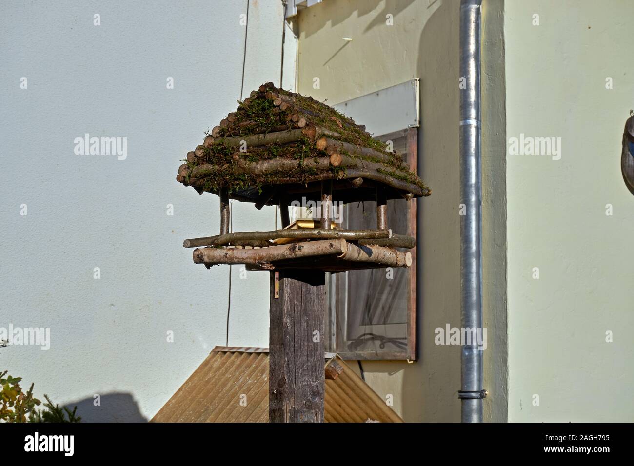 Bird Feeders Tree House For The Birds Cheerful Apartment Stock
