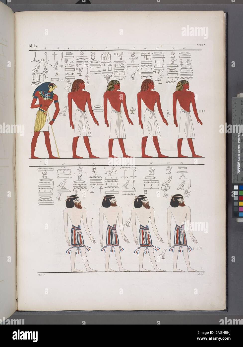 Keywords: Bîbân el-Mulûk (Egypt).; Le diverse specie di uomini noti agli Egizi, rappresentati nella tomba di Menphtah I [Seti I] I primi figurano li stessi Egiziani; e a tutti succede il dio Horus custode dell'umana stirpe. Stock Photo