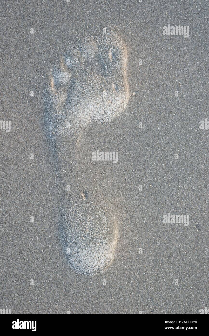 Footprint in sand on the beach Stock Photo