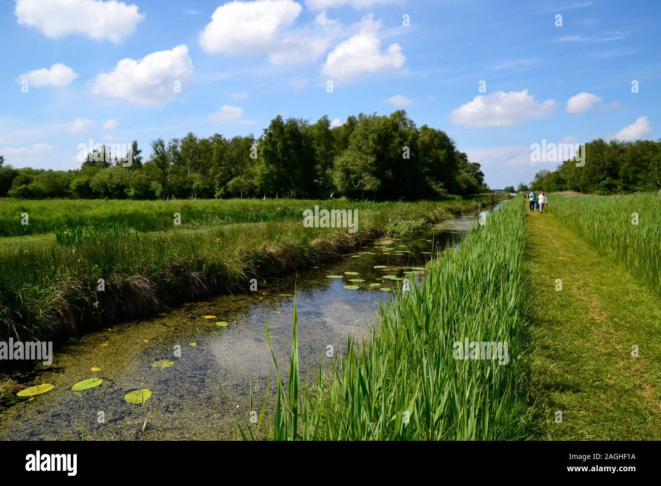 Wicken Fen Nature Reserve, Wicken, Cambridgeshire, UK Stock Photo - Alamy