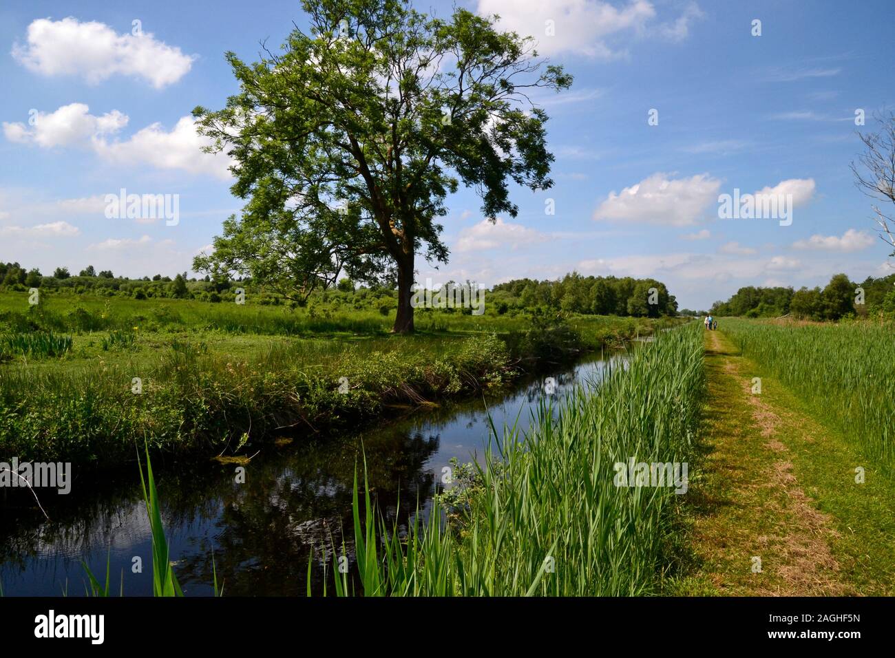 Fen nature reserve hires stock photography and images Alamy