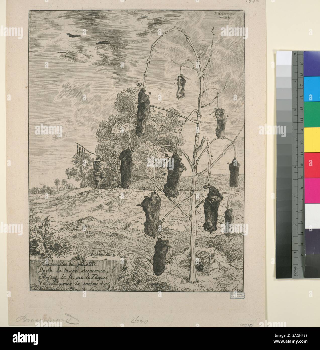Admission Is Granted Through Application To The Office Of Special Collections Collection Presented To The New York Public Library In 19 By S P Avery Forms Part Of Prints By Felix Bracquemond In