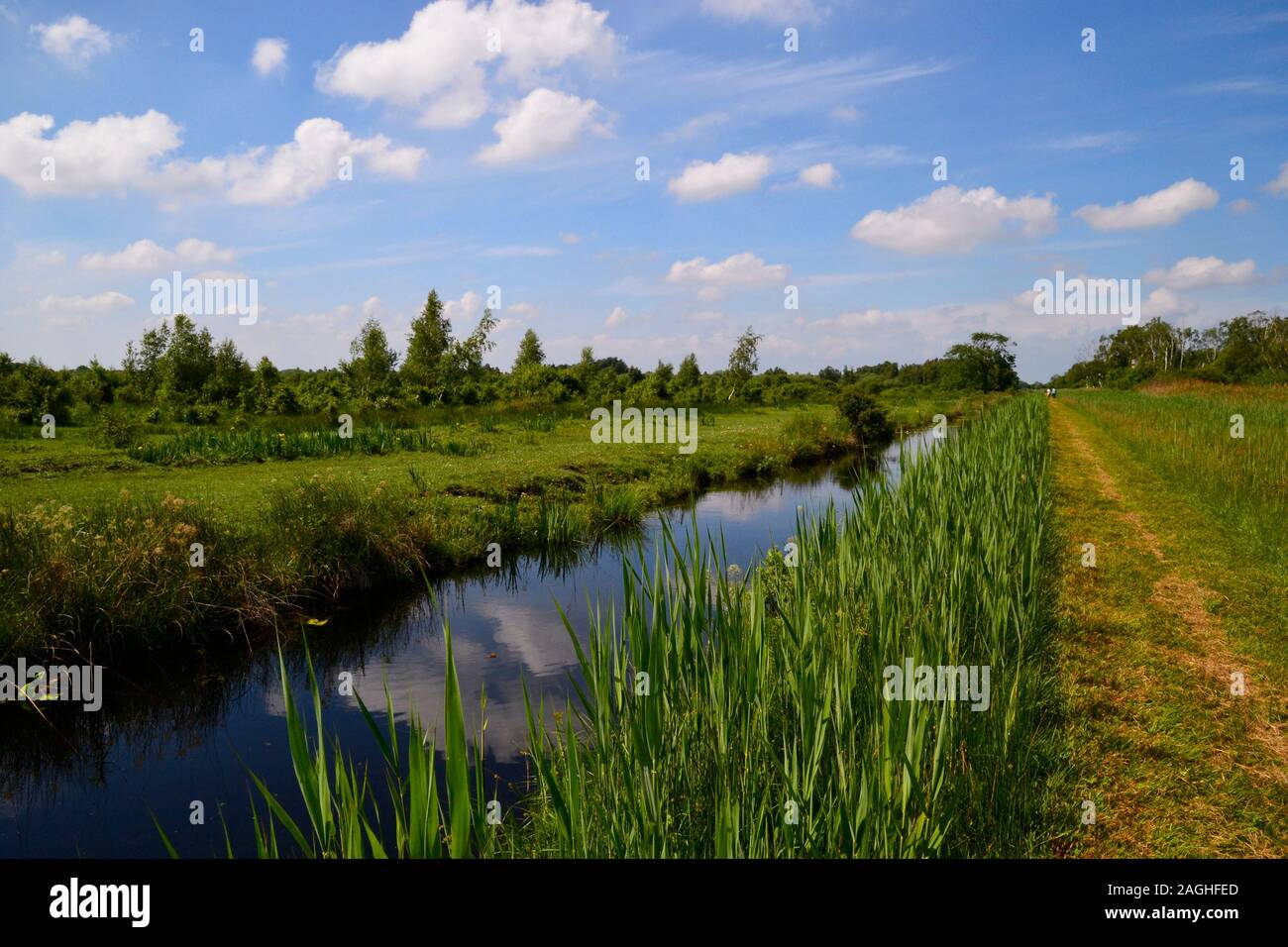 Fen nature reserve hires stock photography and images Alamy