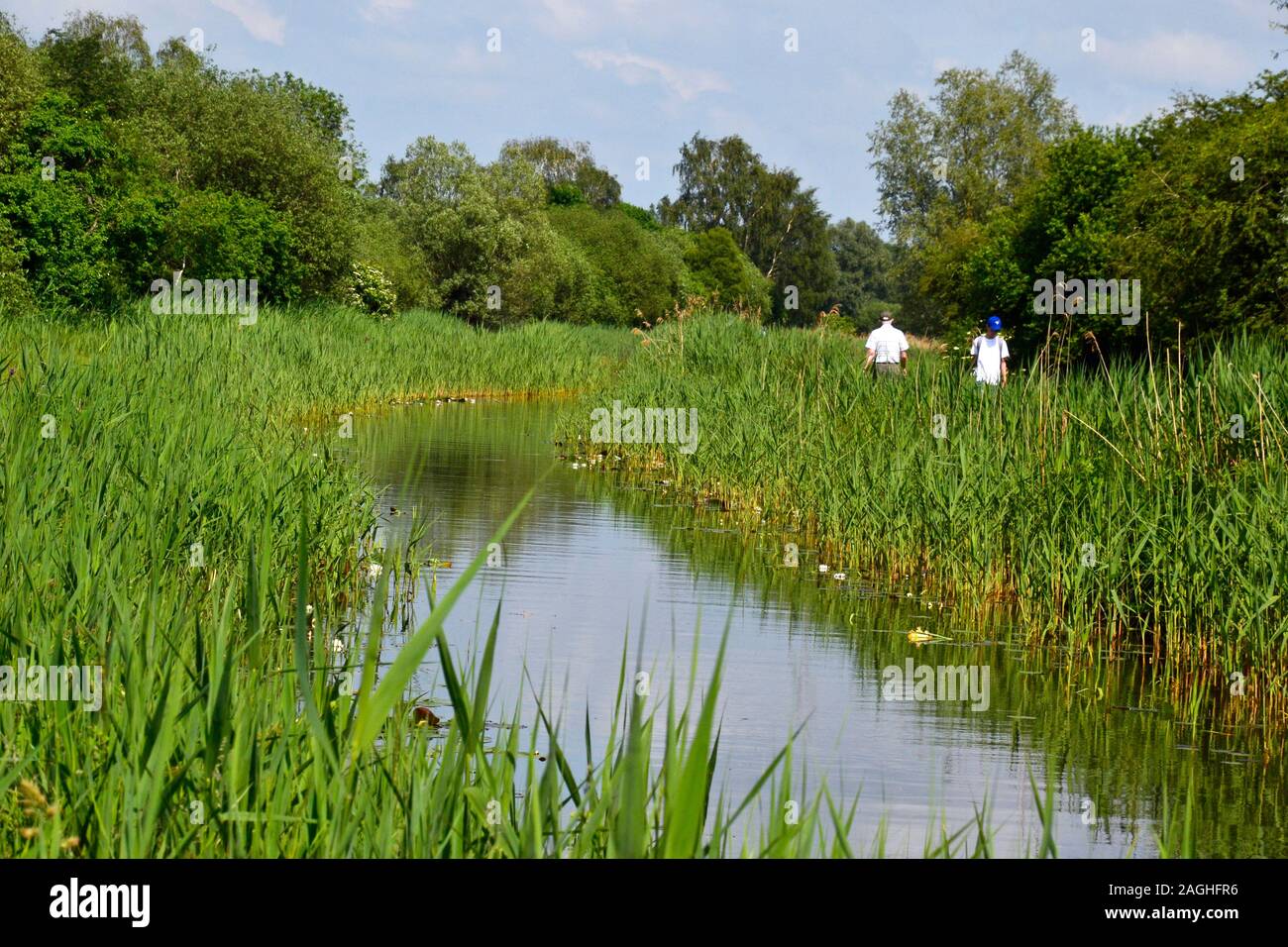 People walking along Wicken Lode River, Wicken Fen Nature Reserve, Wicken, Cambridgeshire, UK Stock Photo