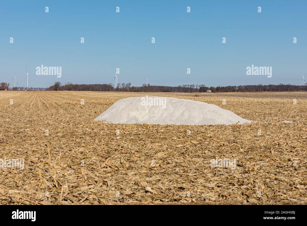 Pile of pulverized agricultural slaked lime in harvested cornfield with cornstalks, waiting for fall fertilizer application Stock Photo