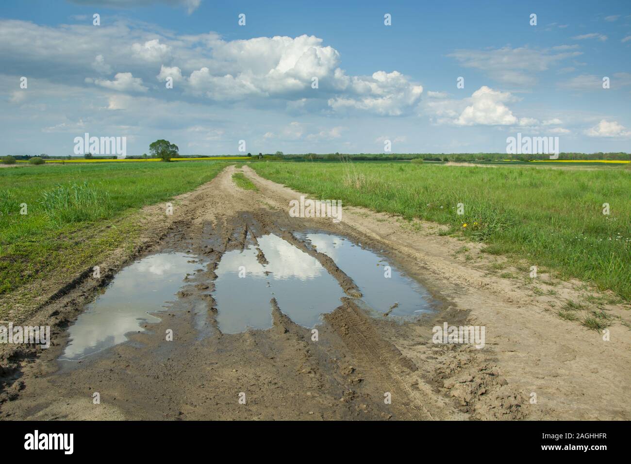Puddles on a sandy road through fields and clouds on a blue sky - spring view Stock Photo