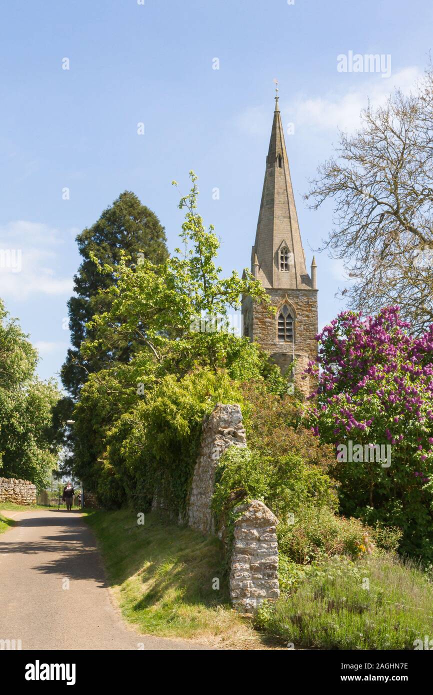 Brixworth, Northamptonshire, UK: The spire and tower of All Saints' church stands behind a crumbling stone wall partially covered with ivy and trees. Stock Photo