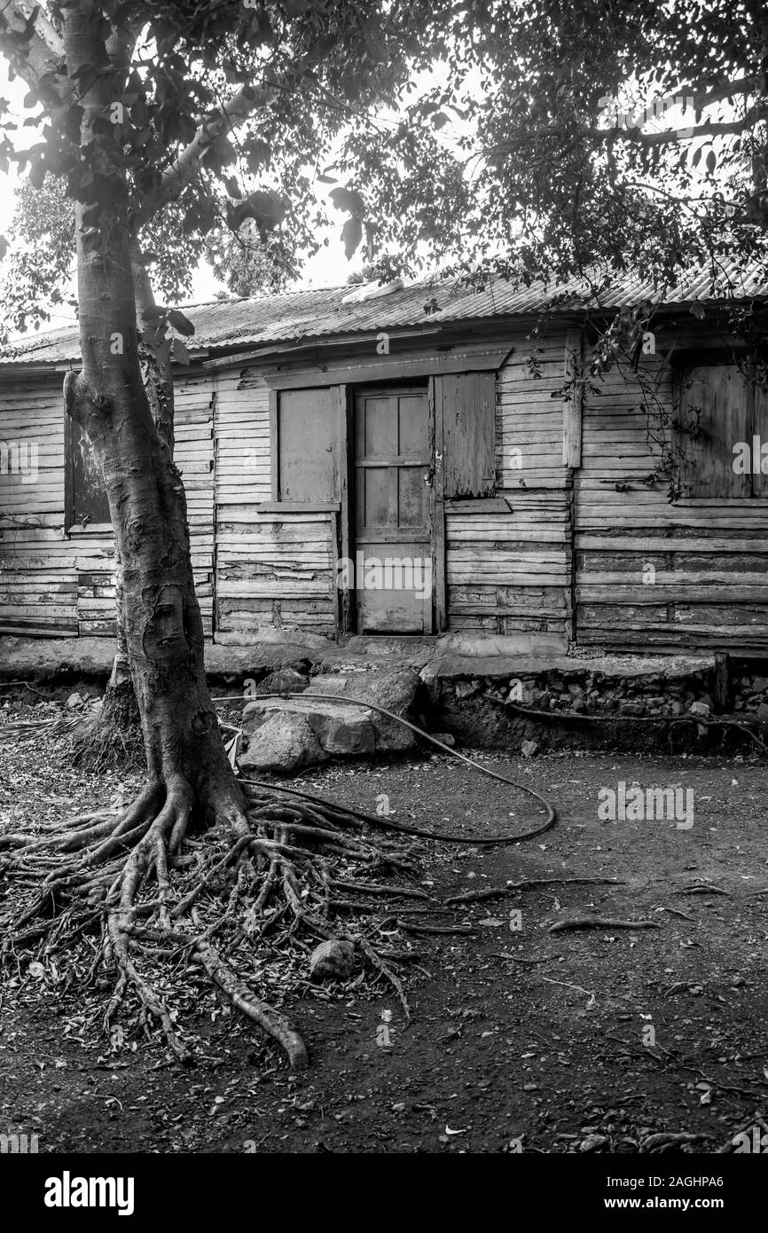 Haitian Black and White Stock Photos & Images Alamy