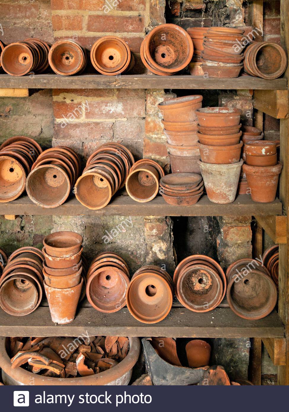 Terracotta Plant Pots Derbyshire