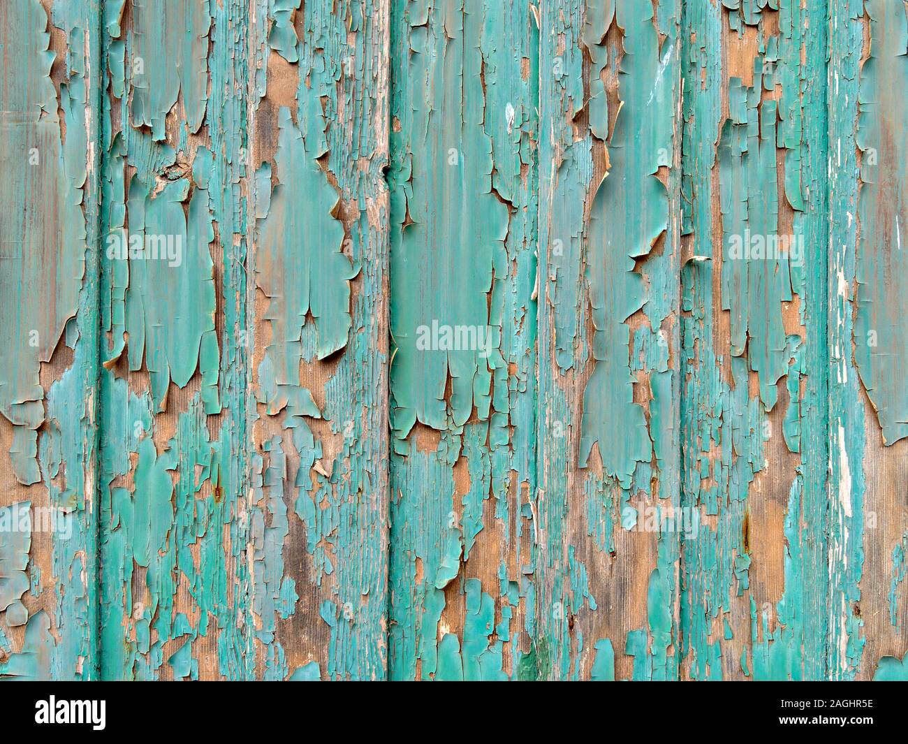 Old peeling and flaking green paint on wooden slats Stock Photo