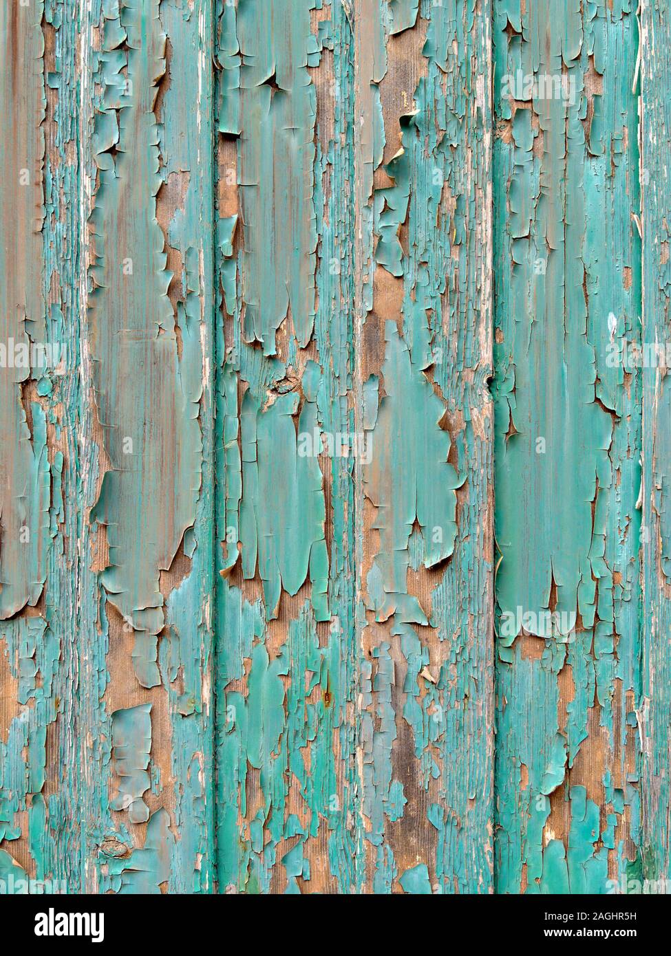 Old peeling and flaking green paint on wooden slats Stock Photo