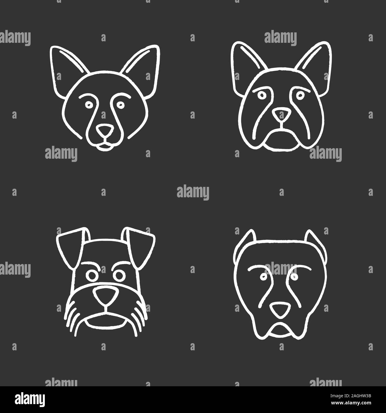 Dogs breeds chalk icons set. Border Collie, French Bulldog, Miniature Schnauzer, German Shorthaired Pointer. Isolated vector chalkboard illustrations Stock Vector