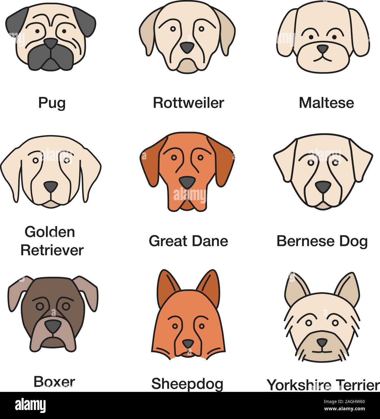 Dogs breeds color icons set. Pug, Rottweiler, Maltese, Retriever, Great Dane, Bernese Mountain Dog, Shetland Sheepdog, boxer, Yorkshire Terrier Stock Vector Image & Art - Alamy