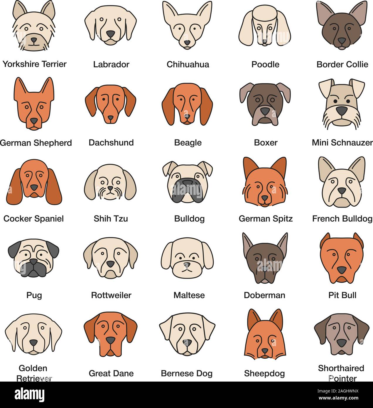 Dogs breeds color icons set. Guide, guardian, hunting, herding dogs ...