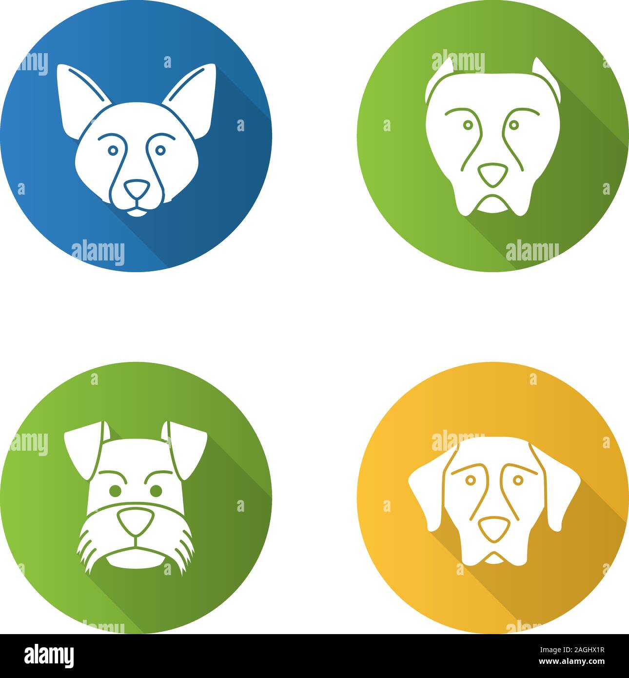 Dogs Breeds Flat Design Long Shadow Glyph Icons Set Border Collie