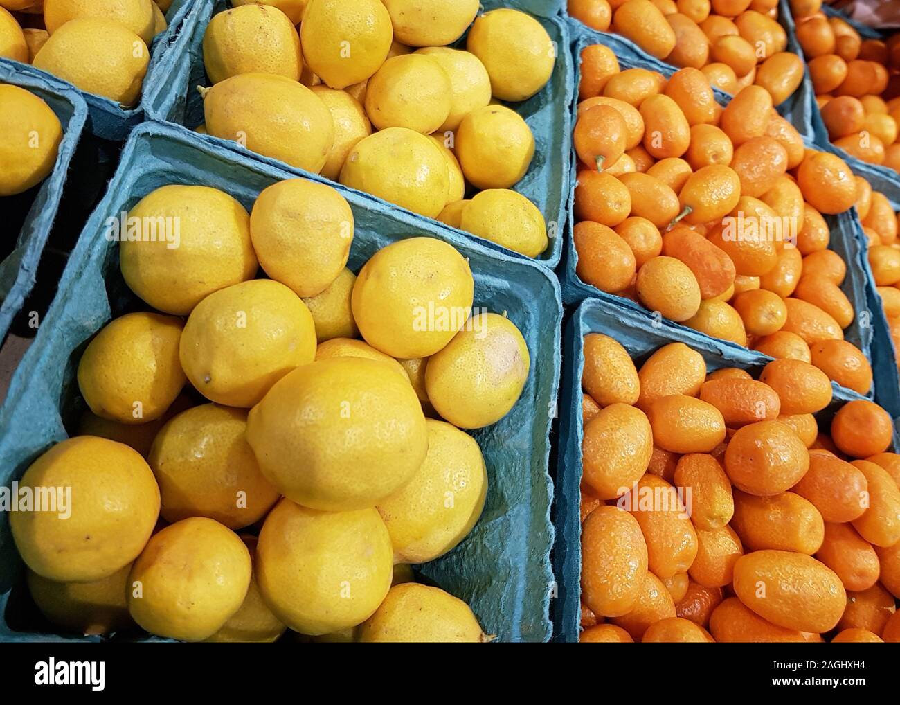 USA, Boston January 2018 Trays of citrus fruit, kumquats