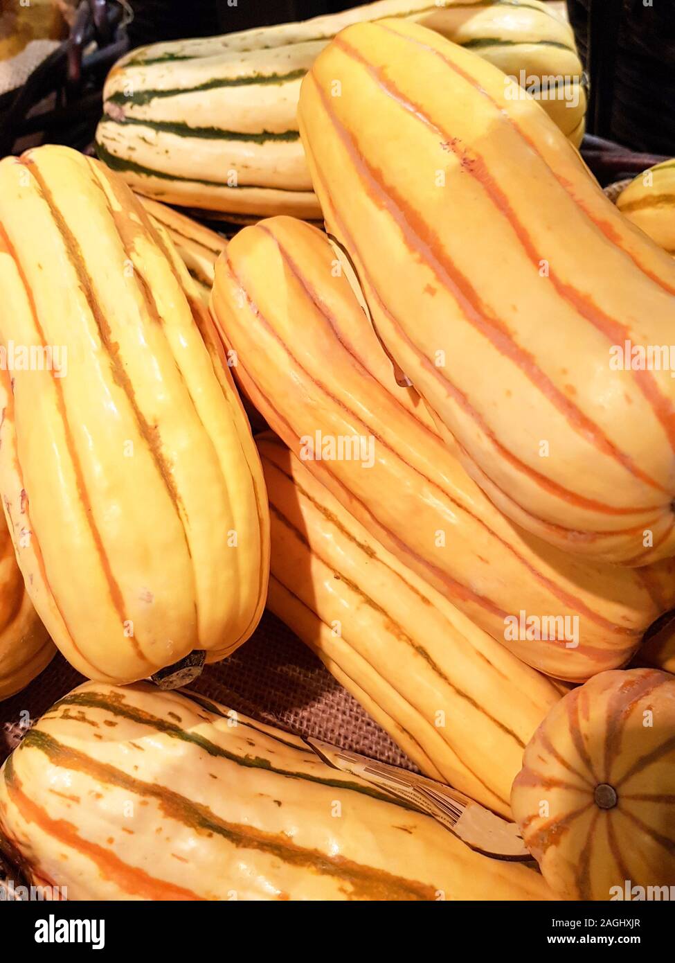 USA, Boston - January 2018 - striped squash for sale in a local market Stock Photo
