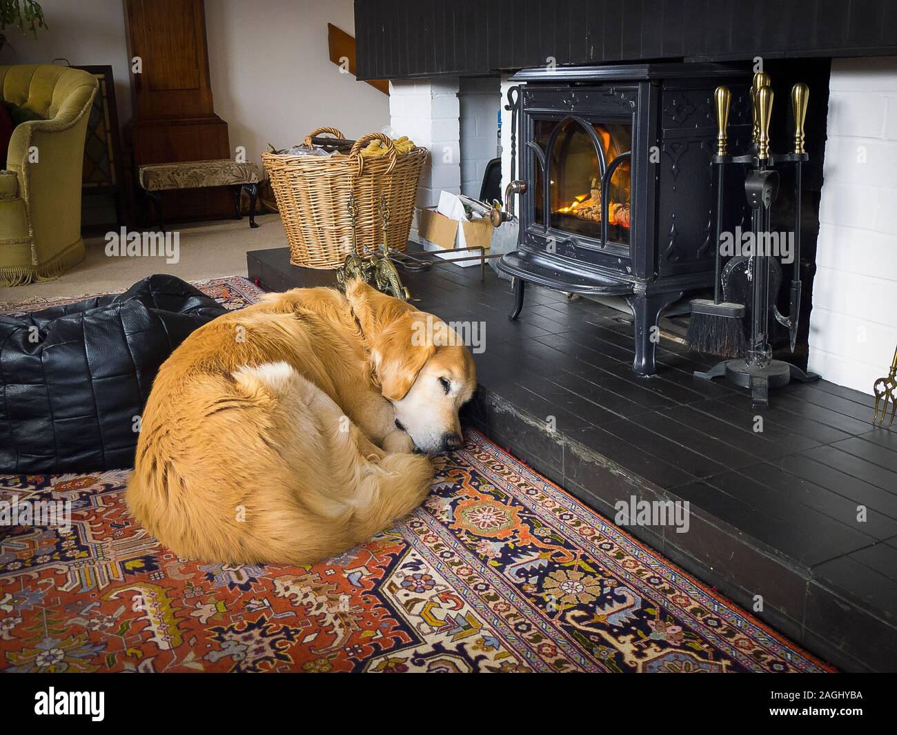How To Keep A Dog Pen Warm