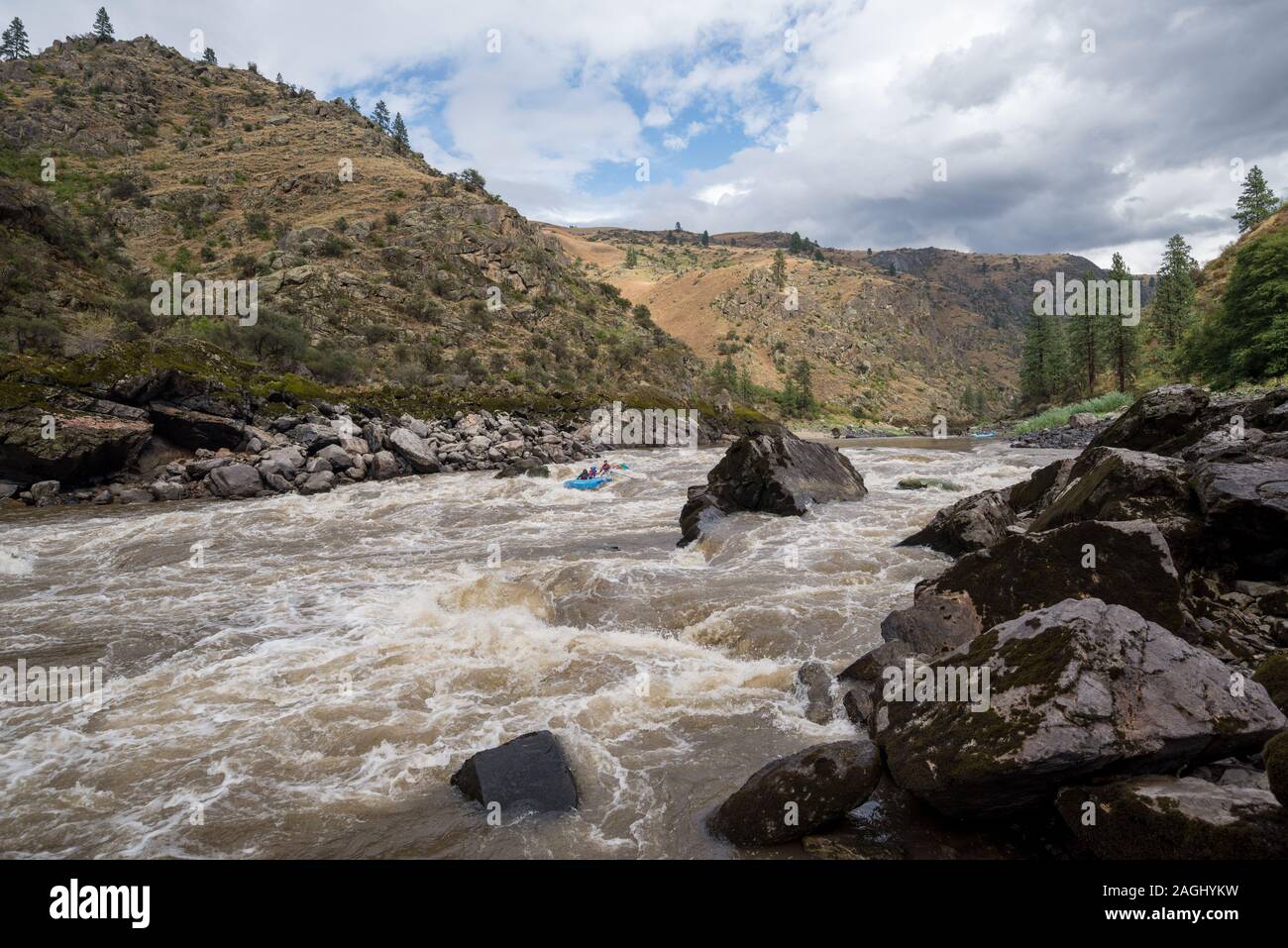 Running Snow Hole Rapid in a raft, Lower Salmon River, Idaho Stock